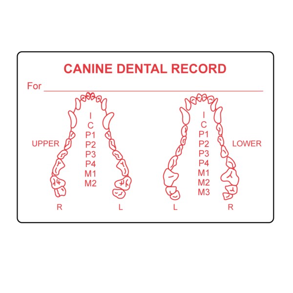 Canine Dental Label 2" x 3" White w/Red